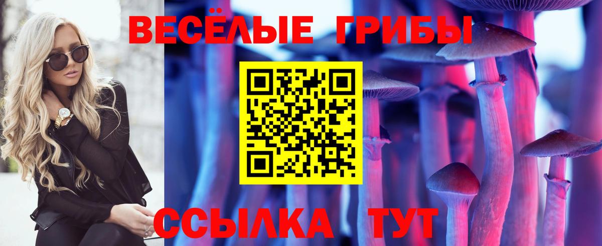 Псилоцибиновые грибы Magic Shrooms Оренбург